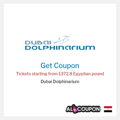 Coupon for Dubai Dolphinarium Tickets starting from 1372.8 Egyptian pound