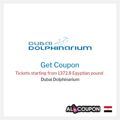 Coupon for Dubai Dolphinarium Tickets starting from 1372.8 Egyptian pound