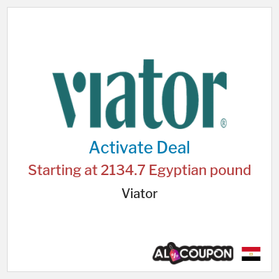 Special Deal for Viator Starting at 2134.7 Egyptian pound